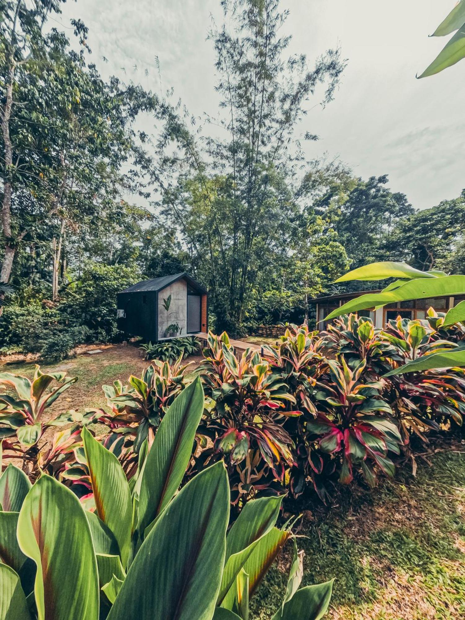 Tagua Lodge Tena Buitenkant foto