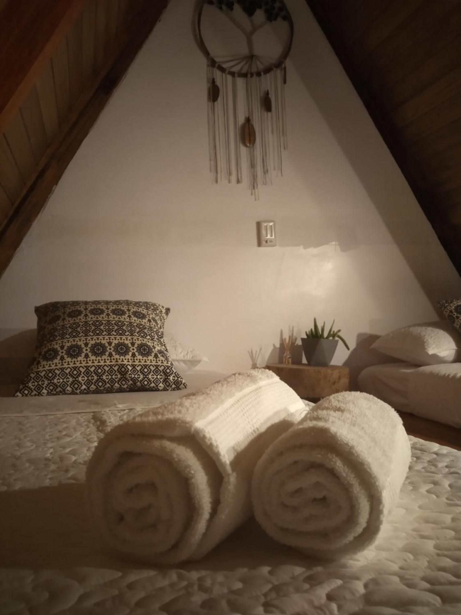 Tagua Lodge Tena Buitenkant foto