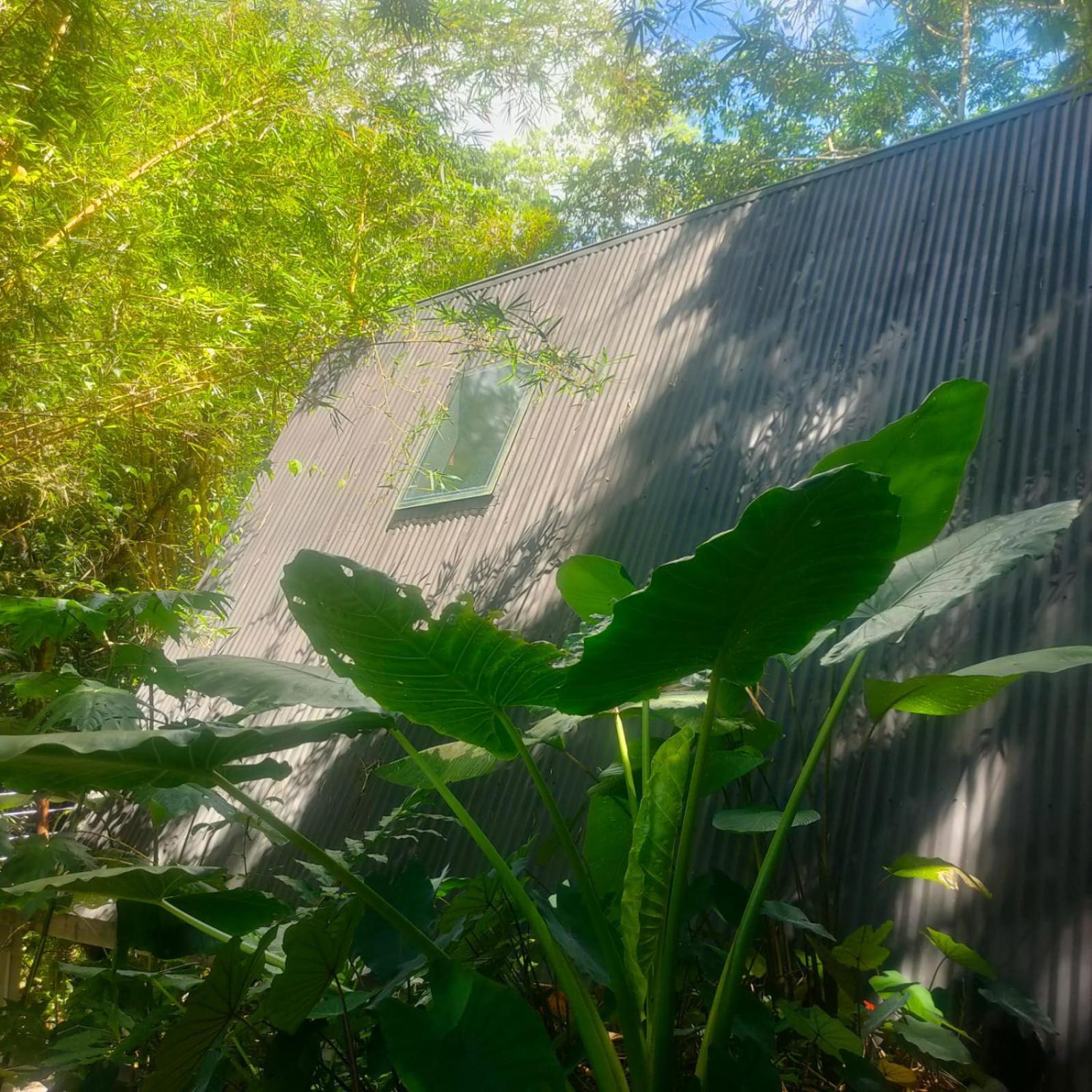 Tagua Lodge Tena Buitenkant foto