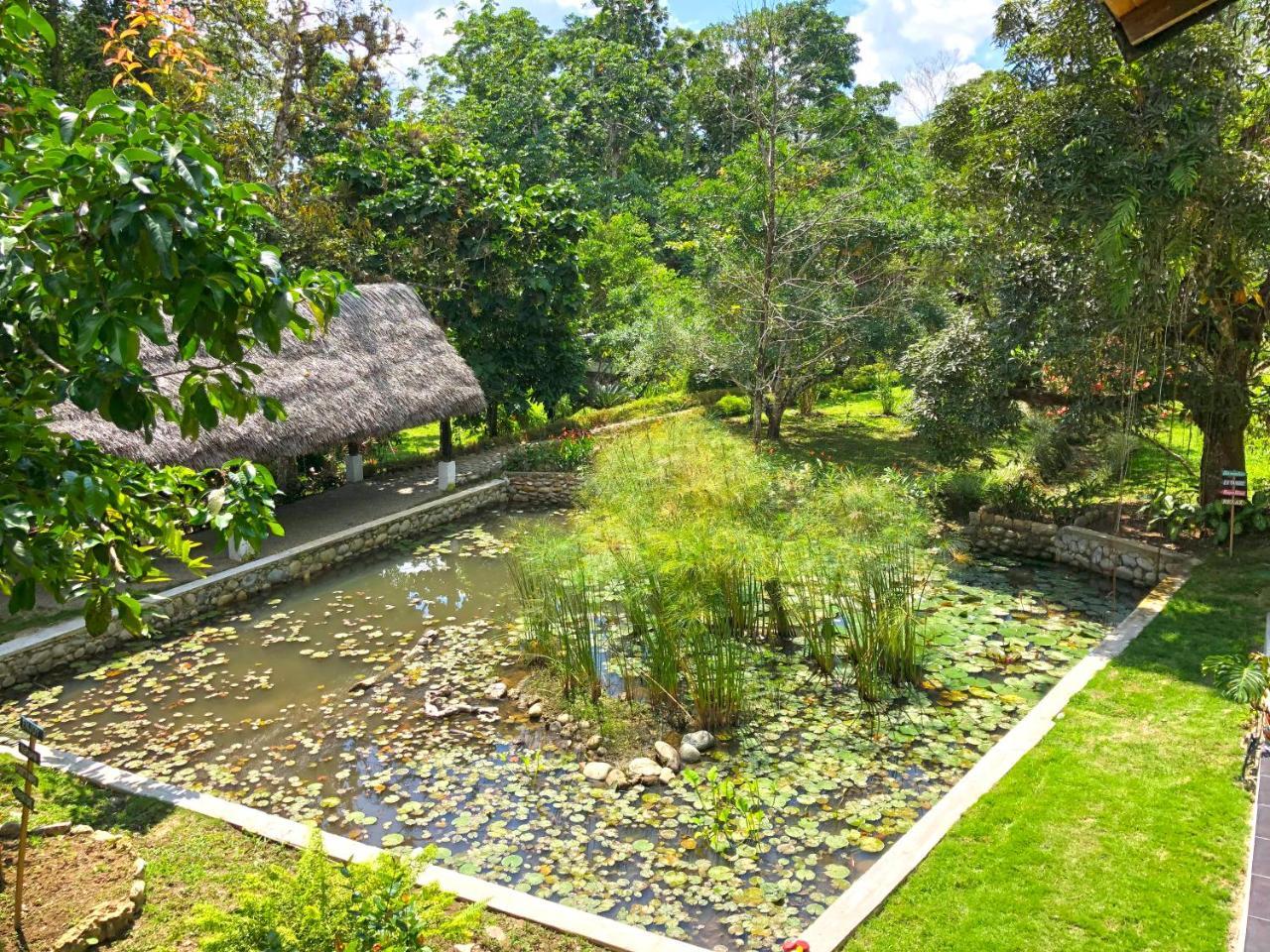 Tagua Lodge Tena Buitenkant foto